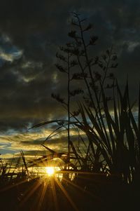 Cloudy sky at sunset