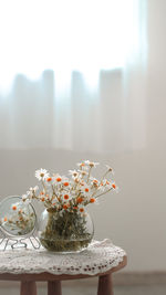 Close-up of potted plant on table