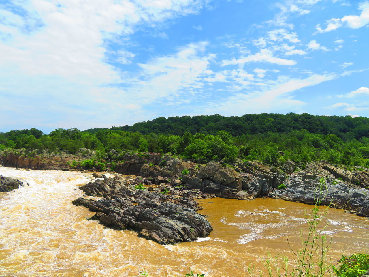 SCENIC VIEW OF ROCKS AGAINST TREES AND SKY