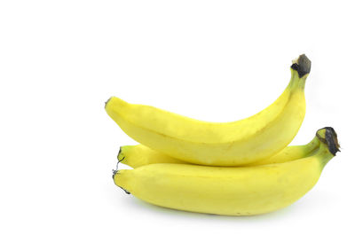 Close-up of fruit against white background