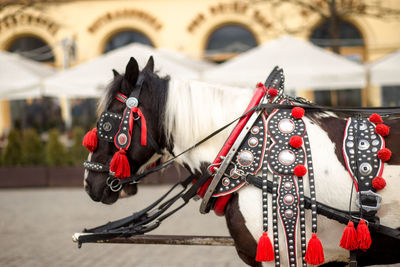 Close-up of horse cart in city