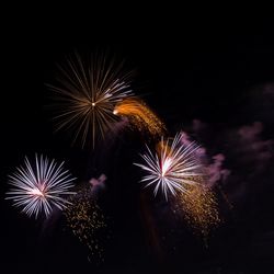 Low angle view of firework display at night