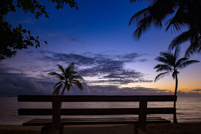 Palm trees on beach