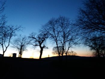 Silhouette of bare trees at sunset