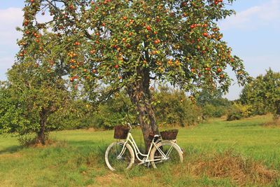 Bicycle on field against trees