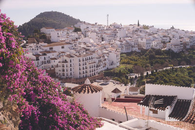 The white streets of frigiliana, a tourist attraction in andalusia, spain