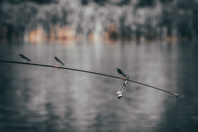 Fishing rod on a lake