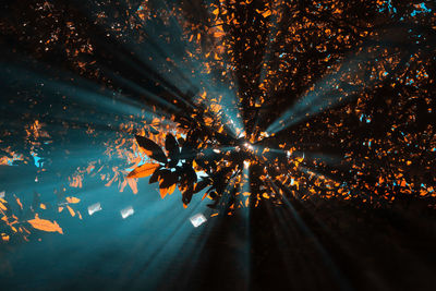 Low angle view of illuminated tree against sky
