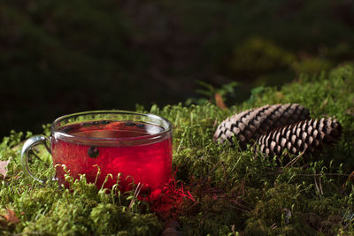 Red drink in mug on field