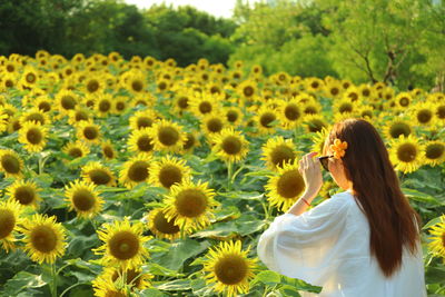 Rear view of woman looking at sunflower field