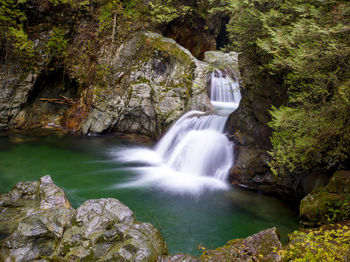 Scenic view of waterfall in forest