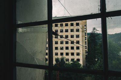 Reflection of building on glass window