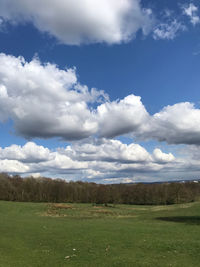 Scenic view of field against sky