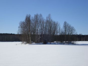 Trees on snow covered landscape against clear sky