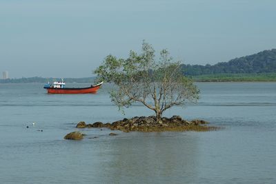 Scenic view of sea against clear sky
