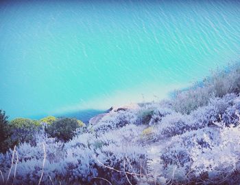 Scenic view of sea against blue sky