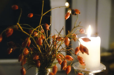 Close-up of candles on plant