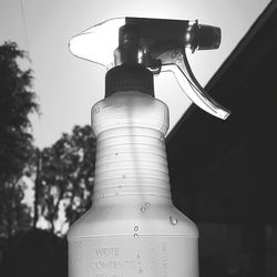 Low angle view of tree against sky