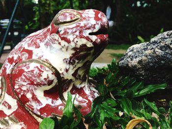 Close-up of lizard on tree