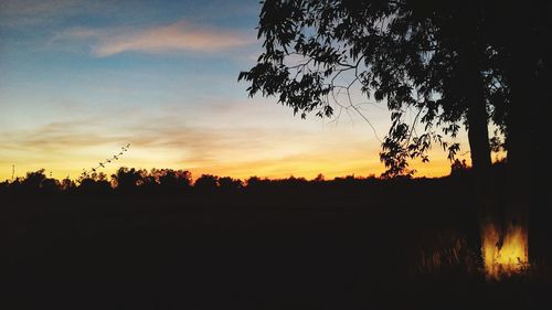 Silhouette trees against sky during sunset