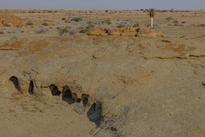 Rocks on land