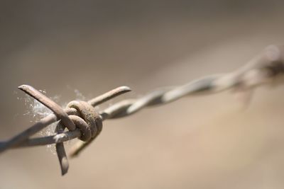 Close-up of metal