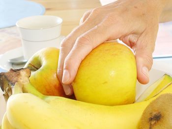 Close-up of woman holding fruit