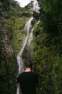 Rear view of man looking at waterfall in forest