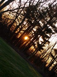 Scenic view of landscape against sky at sunset