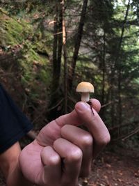 Midsection of man holding mushroom in forest