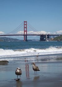 Bridge over sea