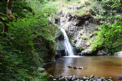 Scenic view of waterfall in forest