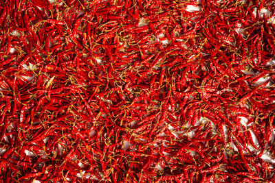 Full frame shot of red chili pepper