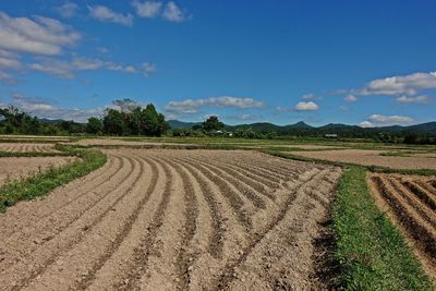 Potato field land preparation, farmer practice, thailand