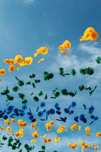 Low angle view of flowers against blue sky