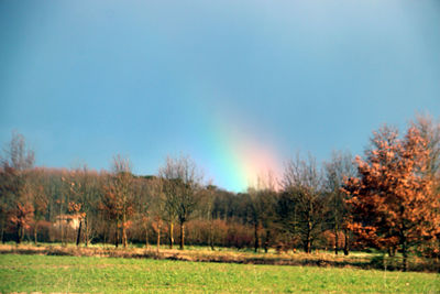 Scenic view of grassy field against sky