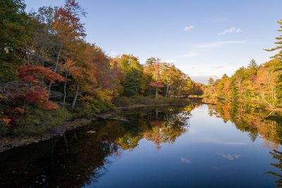 Reflection of trees on lake during autumn