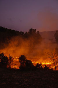 Forest fire at nighttime.