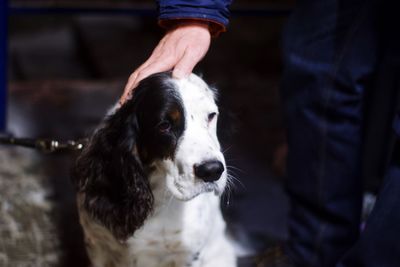 Portrait of man with dog