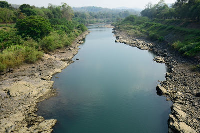 High angle view of river amidst trees