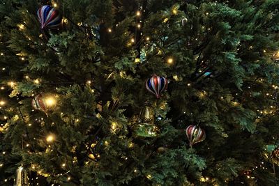Close-up of christmas tree at night