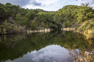 Scenic view of lake by trees against sky