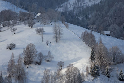 High angle view of trees on snow covered land