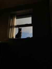 Low angle view of silhouette sitting on window