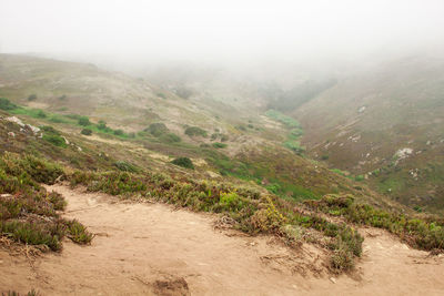 Scenic view of landscape