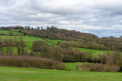 Scenic view of agricultural field against sky