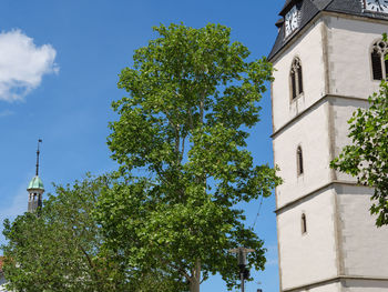 Low angle view of tree and building against sky