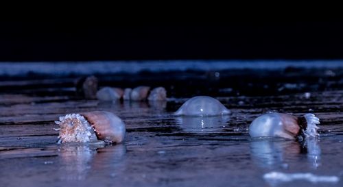 Ice floating on water in sea