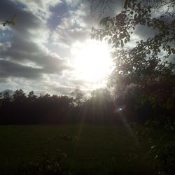 Scenic view of grassy field against sky