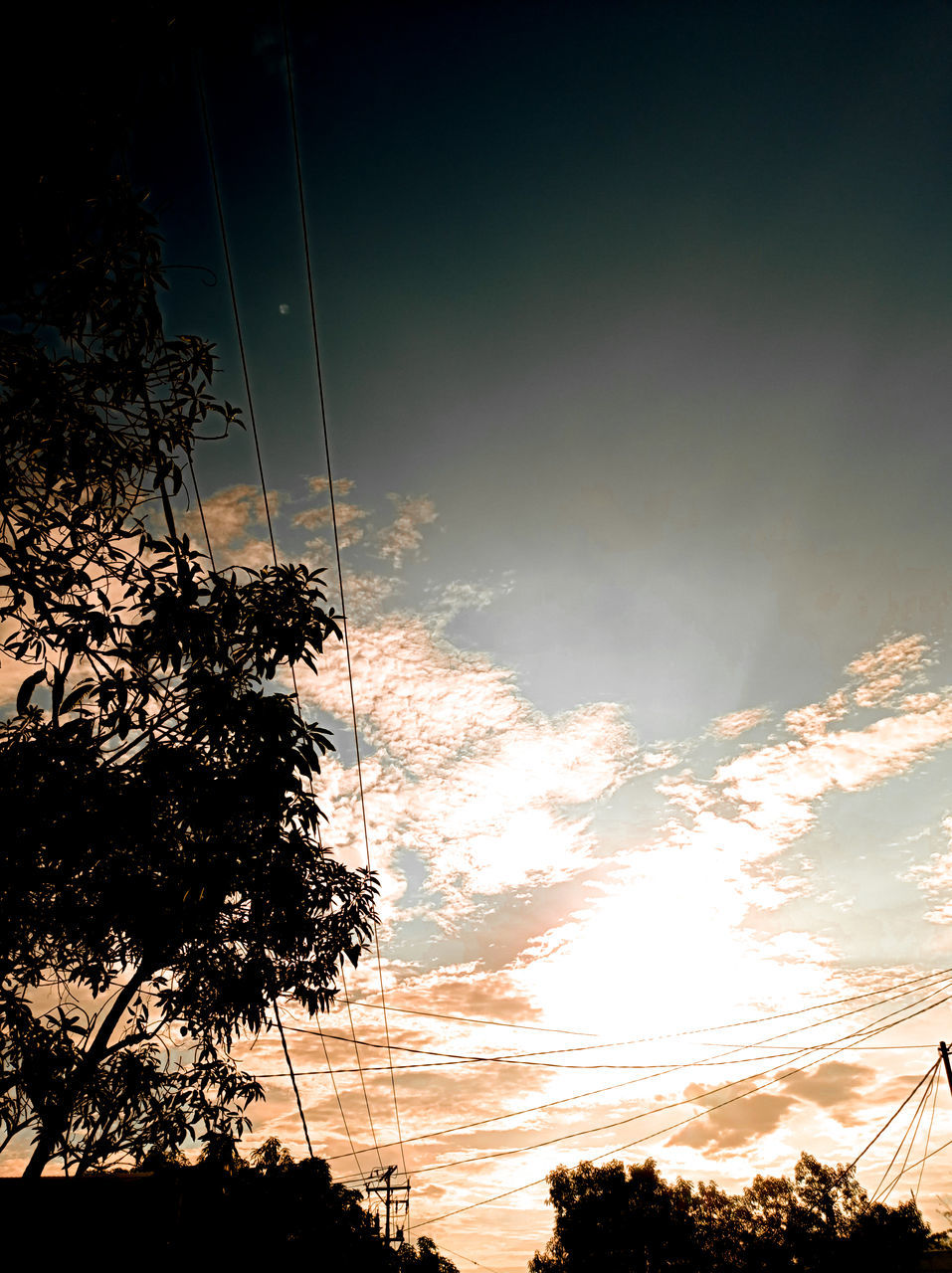 LOW ANGLE VIEW OF SILHOUETTE TREES AGAINST SKY AT SUNSET